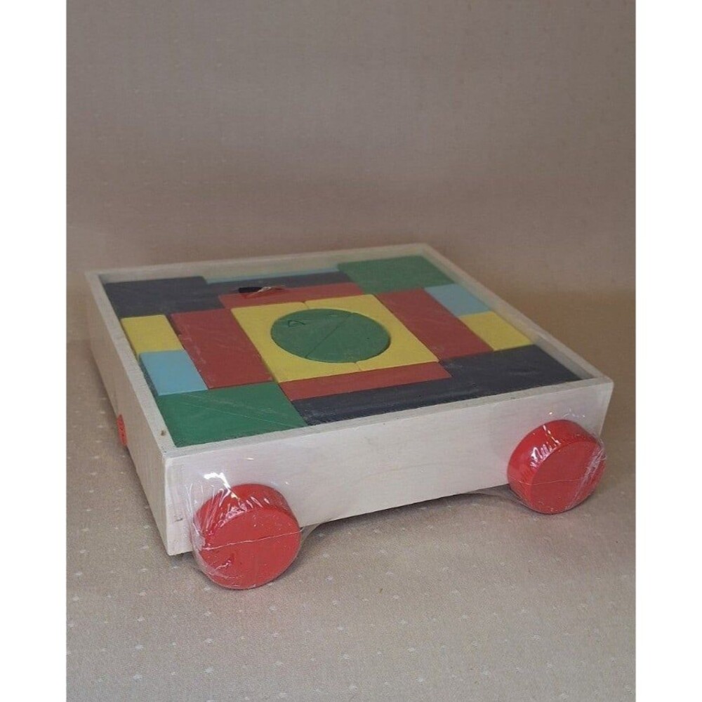 Wooden Geometric Building Blocks Educational Toy on Wheels Ankyo